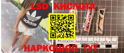 эйфоретик Малгобек
