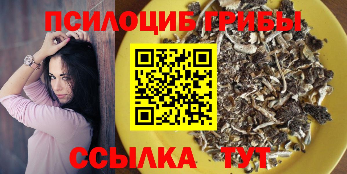 Галлюциногенные грибы мицелий  Вход с VPN  Галлюциногенные грибы мицелий  Ставрополь 