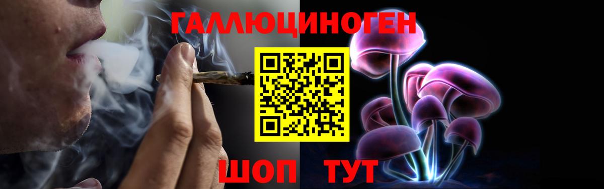 Галлюциногенные грибы Magic Shrooms Ставрополь